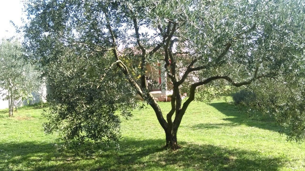 Apartment Karin Μεντουλίν Εξωτερικό φωτογραφία